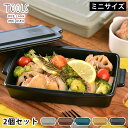 【5/1は全品ほぼP10倍！】2個セット ツールズ グリラー ミニ TOOLS GRILLER MINI 2set 耐熱 陶器 日本製 電子レンジ 魚焼きグリル ガスレンジ 可 直火調理 ダッチオーブン 遠赤外線 レシピ付き ロースター グリル 一人用 おうち時間 プレート イブキクラフト