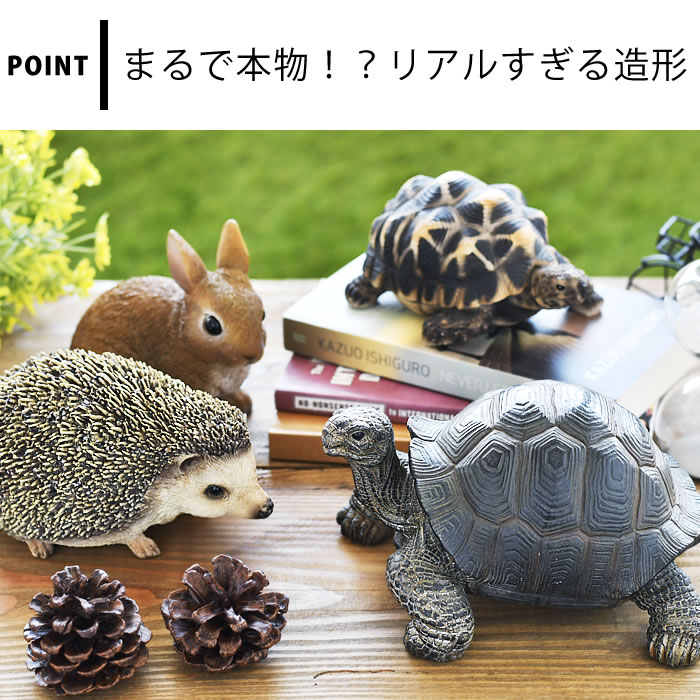 ��4��15���ϥݥ���Ⱥ���10�ܺס��ۥڥåȥХ� PETBANK ��ӥåȡ��إå��ۥå����ȡ��������������ȡ����� ��ʪ������Ȣ �ꥢ�� ưʪ ���˥ޥ� ������� ���襤�� ���ᡡ�ϥ�ͥ��ߡ������� �� �֤�ʪ �����ǥ� �����ʥ��� ���֥��� ���� ����ƥꥢ