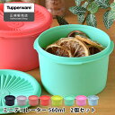 保存容器 密閉 タッパーウェア ミニデコレーター Tupperware クイックシール キッチン 色違い 小分け スタッキング 液体 アルコール プラスチック 調味料 ストック おしゃれ 密閉 密封 食品 2個セット 10年保証