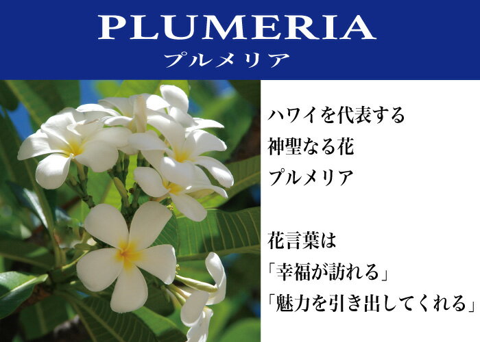 �ϥ磻���󥸥奨�꡼ �ԥ󥭡���� �ȥ���� �ȥ���� �ȥ������ ���� �ץ��ꥢ ���륳�˥��� ����С�925 �ץ쥼��� ��åԥ� ��ǥ�����