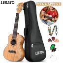 【クーポンで15％OFF】1年保証 LEKATO ウクレレ 23インチ セット ストラップ ナイロン弦 チューナー マホガニー ピック付き ウカラリー 初心者 ケース付属 コンサート