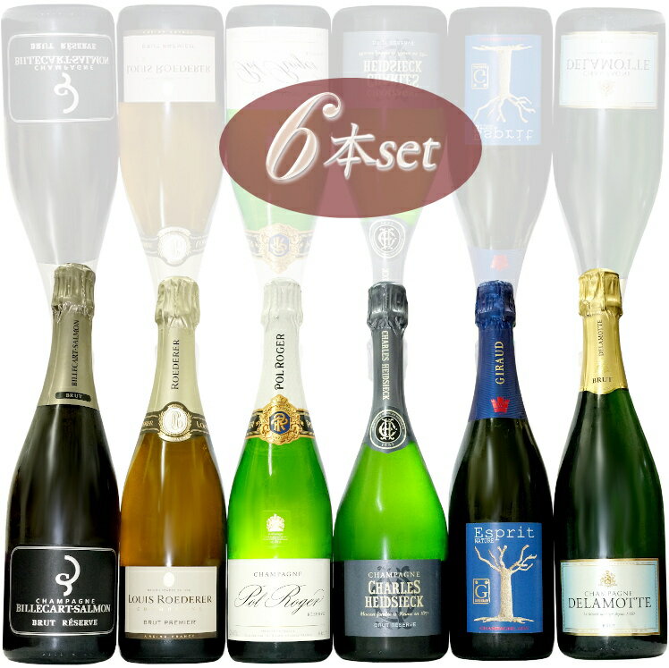 シャンパーニュ メゾン 店主一押し6本セット maison champagne flight of 6 assort6