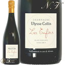 Information 商 品 名name Ulysse Collin Les Enfers Blanc de Blancs Extra Brut NV15 蔵 元wine maker ユリス・コラン / Ulysse Collin 産 地terroir フランス/France＞シャンパーニュ地方/Champagne＞コート・ド・セザンヌ地区/Cote des Sezanne＞コンジィ村/congy 格 付 けclass A.O.Cシャンパーニュ / Champagne ヴィンテージvintage ノン・ヴィンテージ 品 種cepage シャルドネ 100％ 種 類 / 味わいtype/taste 泡Champagne / 白white / 辛口dry 容 量net volume 750ml 輸 入import リーファー輸入 定温倉庫保管 情 報information 2015年はセラーで48ヶ月間澱とともに熟成され、2.4グラムのドサージュで排出されました。深みのある力強いブラン・ド・ブランで、非常に気品のある美しさが特徴です。 2015年ベースに10％のリザーヴワイン（2014年）を加え、2020年3月に出荷。レ・ザンフェールは、同じくコート・デュ・プティ・モランにあるコンジーの0.6ヘクタールの樹齢40年の畑のシャルドネ100％。 レ・アンフェールとレ・ロワーズは隣接する区画で、前者は東に、後者は南に面しています。どちらの区画も土壌は粘土とチョークに火打石が混じっていますが、レ・ザンフェールの方が粘土が少なめです。 なめらかなテクスチャーを豊かに表現し、長期熟成によってさらに深みと複雑さが増しています。メゾン名のユリス・コランは、ご先祖様のひとりにちなんで名付けられました。2004年にLes Pierrieresの畑から初ヴィンテージヴィンテージとなるシャンパーニュを製造、2006年よりLes Maillons、2008年よりLes Roises、2010年よりLes Enfers、2011年よりLes Maillons Roseをそれぞれ生産開始。各畑のブドウが混ぜられることは初ヴィンテージから現在まで一度もありません。 1703年からコンジィ村で栽培と樽製造の仕事を始めたのがコラン家の成り立ちです。曽祖父のジョルジュ・コランが1930年にシャンパーニュの販売を始め、それを受け継いだ祖父のルネ・コランがその後50年間ビジネスを拡大しました。オリヴィエの父は1987年から2003年までネゴシアン（ヴランケン社）とパートナーシップを組みましたが、オリヴィエの代になり2003年に畑を取り戻し、翌々年に圧搾機やカーヴなどの醸造設備を新たに導入しました。学生だった頃のオリヴィエは1人のワイン愛好家に過ぎませんでしたが、2001年にアンセルム・セロスを訪問し刺激を受け、自分自身のシャンパーニュを造るため、当時実家が賃貸していた畑の回収を決めました。2002年にアンセルム・セロス氏の下で研修、2003年より自身の畑の栽培を開始。 栽培においては、ブドウが発する声に耳を傾け、実用的・実際的な手法を選ぶこと（＝何かのセオリーやビオディナミカレンダーなどに頼りきらず、自分で考えブドウへの影響を見ながら栽培していくこと）が重要と考えています。そのため、自身の哲学などはなく自分自身にするのと同様に、都度ブドウのために最良だと思える選択を行っています。 ※インポーター様資料より