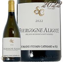 2022 ブルゴーニュ アリゴテ シルヴァン カティアール 白ワイン 750ml Sylvain Cathiard Bourgogne Aligote(4)