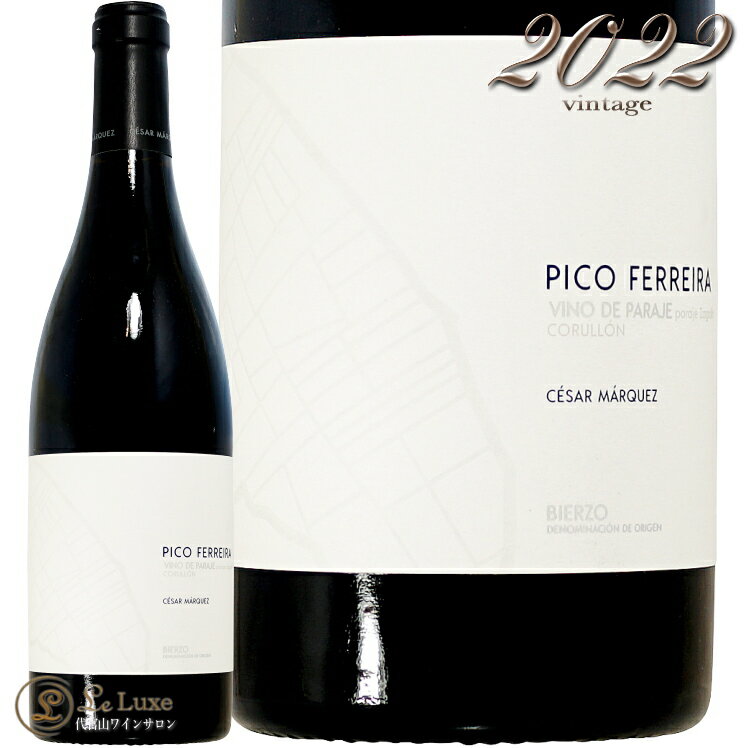 2022 ԥ ե쥤  ޥ륱  ֥磻 ڥ 750ml Cesar Marquez Pico Ferreir...