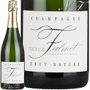 NV ubg i`[ i^[ t@ Vp h  750ml Champagne Nathalie Falmet Brut Nature