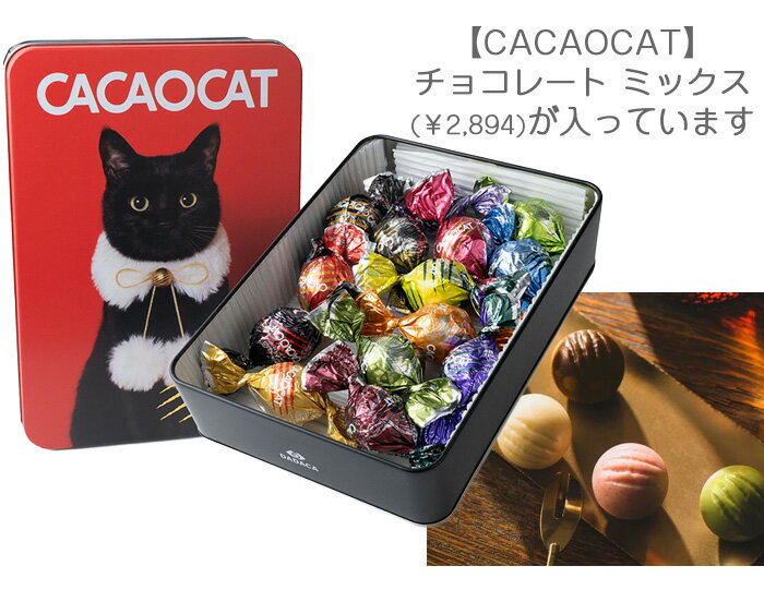 ��ʡ��2026�ۿ��̸���(=^��^=)�ͥ�����&��������ʡ��