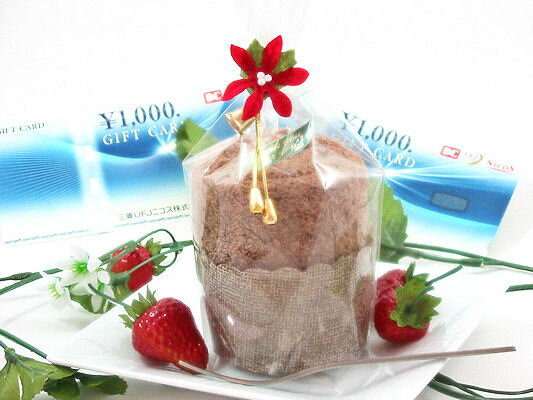 ��ɩ�գƣʥ˥������եȷ����������ߤȥ��åץ��������ĥ��������å����ʥ�����22��24cm�˥���������