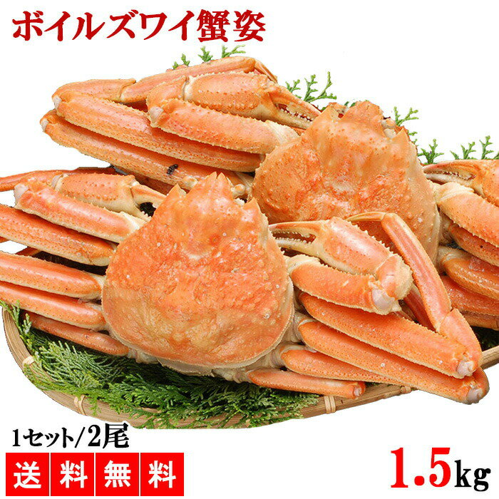 ズワイガニ 姿 ボイルズワイガニ姿 1.5kg 2尾 送料無料 ズワイガニ姿 ボイルズワイガニ姿 カニ姿 蟹姿 ずわい蟹 カニ かに 蟹 年末年始 メーカー直送 shr-012のサムネイル