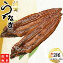 うなぎ蒲焼 鰻蒲焼 2尾 送料無料 特大サイズ 蒲焼 冷凍 土用の丑の日 うなぎ ウナギ 鰻 お中元 中国産 メーカー直送 shr-021