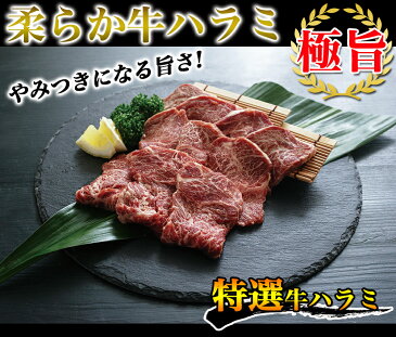 ハラミ 2kg 送料無料 牛ハラミ やわらかハラミ 牛肉 肉 焼き肉 bbq バーベキュー