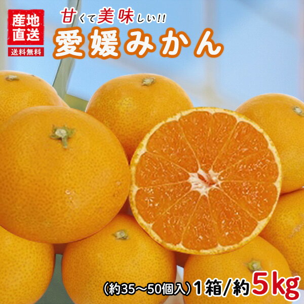 みかん 愛媛みかん 5kg 送料無料 温州みかん ミカン 蜜柑 果物 甘い 箱買い 産地直送 愛媛県産 YDF-000
