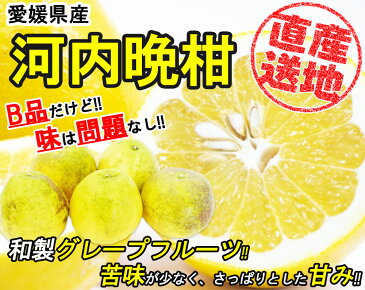 河内晩柑 みかん 訳あり 4kg 送料無料 ご家庭用 箱買い B品 サイズミックス 柑橘 フルーツ 果物 産地直送 愛媛県産