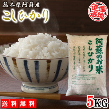 米 コシヒカリ こしひかり 5kg 送料無料 令和2年産 お米 白米 ブランド米 精...