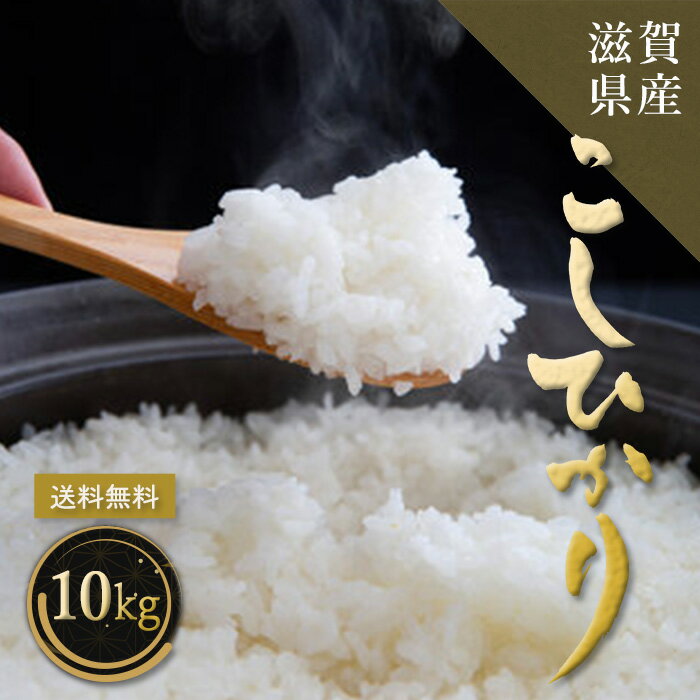 樂天商城 - 【家計応援コシヒカリ】米 10kg 送料無料 お米 コシヒカリ 滋賀県産 令和7年産 白米 精米 国産 10キロ ギフト 贈答 ご飯 お弁当 おにぎり こしひかり