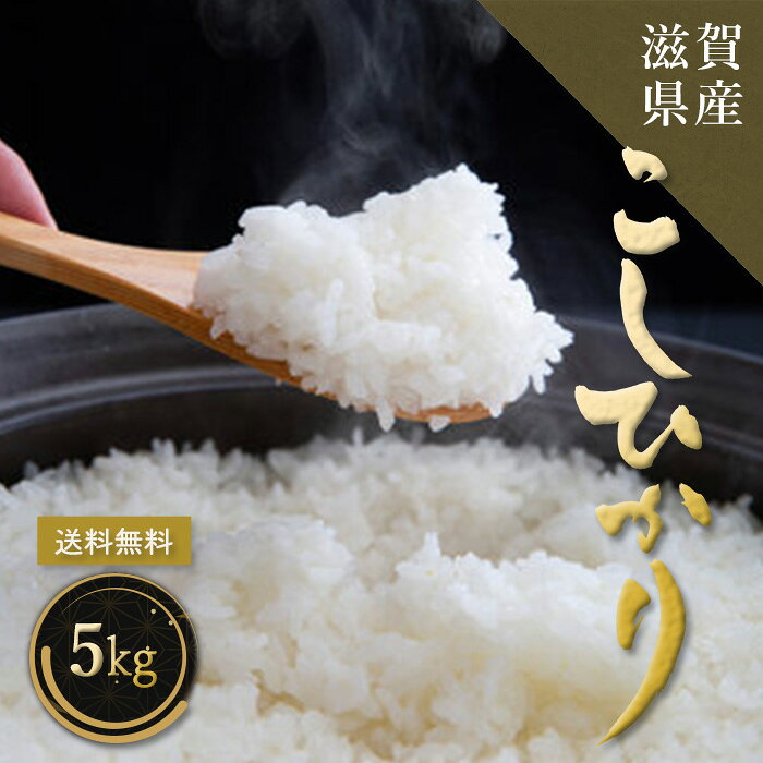 樂天商城 - 【令和7年産】 米 5kg 送料無料 コシヒカリ お米 滋賀県産 白米 精米 受注精米 国産 こしひかり 5キロ ご飯 ギフト 贈答 お中元 お歳暮 贈り物 お祝い 母の日