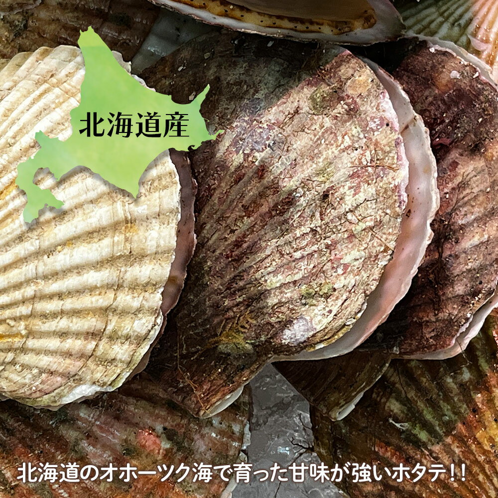 帆立 貝柱 水煮 ホタテ 天日干し帆立 缶詰 北海道 国産 缶詰 3缶 カニ缶 贈り物 かに缶詰 送料無料 おつまみ 保存食 お歳暮 ギフト shr-036