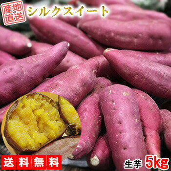 シルクスイート さつまいも 5kg 送料無料 産地直送 産直 土付き さつま芋 薩摩芋 焼きいも 焼き芋 石焼き芋 芋 いも イモ 鹿児島県産 FJK-001のサムネイル