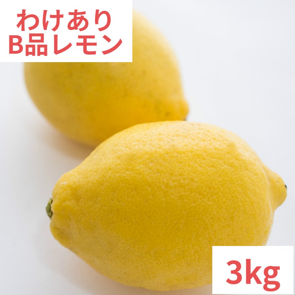 広島県産レモン【B】わけあり　3kg　キズあり　送料無料　皮