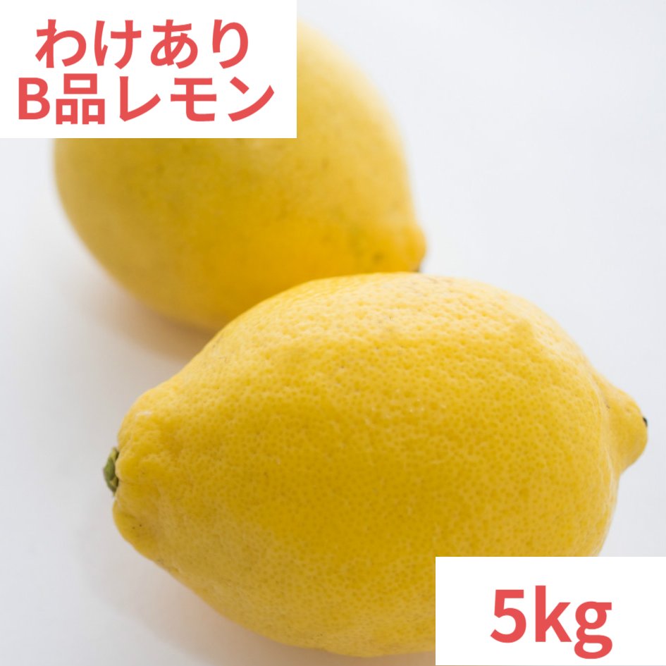 広島県産レモン【B】わけあり　5kg　キズあり　送料無料　皮