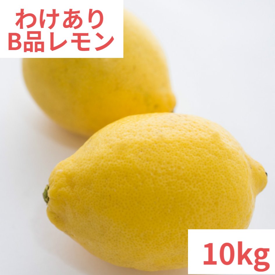 農家さんもぐもぐ国産レモン 1kg 訳あり【2品で+1kg(3kgセット) 3品で+2kg(5kgセット)】【送料無料(一部地域除く)】檸檬 lemon 防腐剤 防かび剤不使用 愛媛県産か広島県産 瀬戸内レモン 家庭用 フルーツ 果物 くだもの ミカン科 箱買い 柑橘類 お試し コロナ