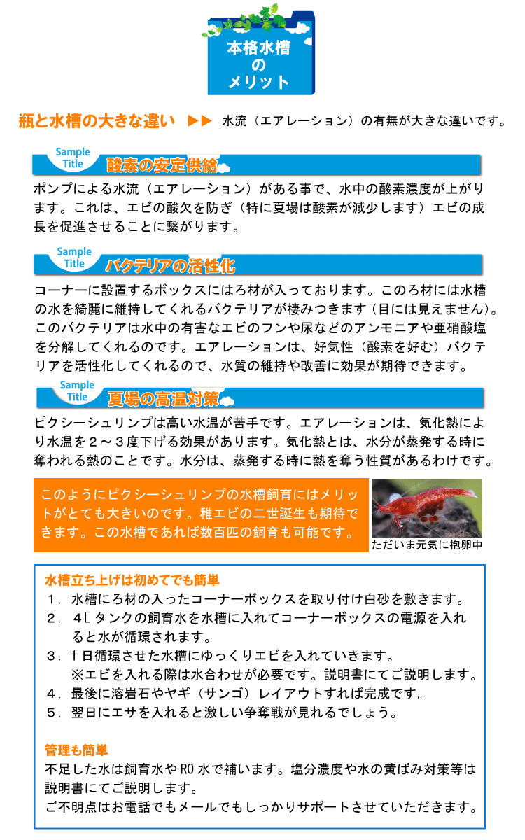 【癒しエビ】[ピクシー シュリンプ水槽セット　大自然]備品シュリンプ セット・アクアリウム エビ/インテリア 水槽/水槽セット/飼育 セット/手軽/初心者/癒し/癒しグッズ/スカーレットシュリンプ/かわいい/おしゃれ/オシャレ/部屋/卓上/観賞用/プレゼント/ギフト/贈り物