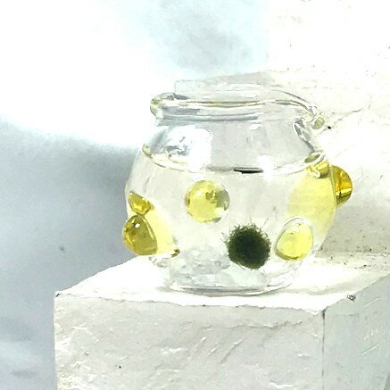 チビまりも入り小瓶　マリモ　阿寒湖　まりものサムネイル