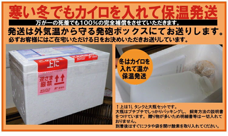 ���������ӡۥԥ���?������פΤ�4��1ɤ�ڥ��� Ǯ�ӵ� �������ꥦ�� ����ƥꥢ ���� ��� �鿴�� �������å���