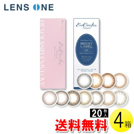 エバーカラーワンデーナチュラルモイ...