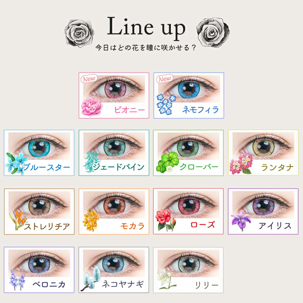 【ネコポス専用】 パーフェクトワンデー フルブルーム 6枚入 | ハロウィン コスプレ カラコン カラーコンタクトレンズ 度あり 度なし 1日使い捨て 1デイ 仮装 盛れる 赤 青 黄色 緑 紫 イエロー ブルー 魔女 ゾンビ