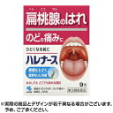 【第3類医薬品】ハレナース9包 ※取寄せ
