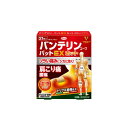 【第2類医薬品】バンテリンコーワ パットEXホット 21枚