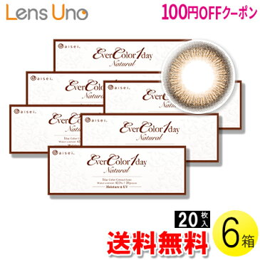 【100円OFFクーポン】【送料無料】エバーカラーワンデー ナチュラル アプリコットブラウン 20枚入×6箱 ( コンタクトレンズ コンタクト 1日使い捨て ワンデー 1day カラコン エバーカラー オレンジブラウン 新木優子 20枚入り 6箱セット )