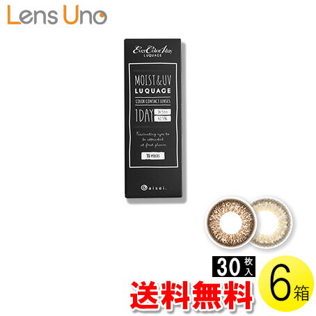 【送料無料】【メール便】エバーカラーワンデー ルクアージュ 30枚入×6箱 ( コンタクトレンズ コンタクト 1日使い捨て ワンデー 1day カラコン サークル アイセイ アイレ エバーカラー 14.5mm 新木優子 30枚入り 6箱セット )