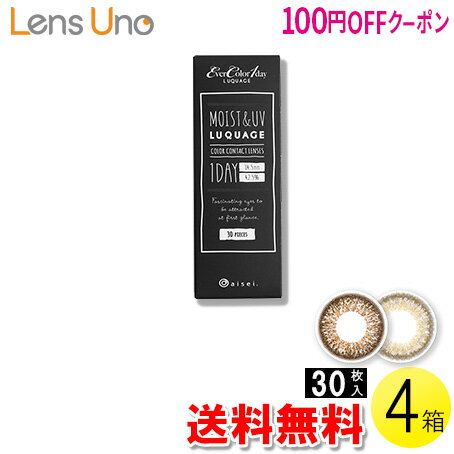 【100円OFFクーポン】【送料無料】エバーカラーワンデー ルクアージュ 30枚入×4箱 ( コンタクトレンズ コンタクト 1日使い捨て ワンデー 1day カラコン サークル アイセイ アイレ エバーカラー 14.5mm 新木優子 30枚入り 4箱セット )