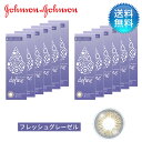 月間優良ショップ受賞【2025年2月度】ワンデーアキュビューディファインモイスト フレッシュ シリーズ (30枚)/フレッシュグレーゼル 12箱セット 度あり ...