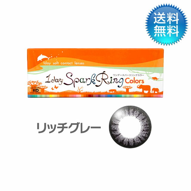 【あす楽対応商品】月間優良ショップ受賞【2024年5月度】ワンデースパークリングカラー　リッチグレー (30枚) 度あり 1day カラコン ワンデー 【3980円以上で送料無料】【LINE友だち追加300円OFFクーポン配布中】