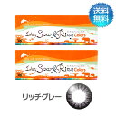 【あす楽対応商品】月間優良ショップ受賞【2023年10月度】ワンデースパークリングカラー　リッチグレー (30枚) 2箱セット 度あり 1day カラコン ワンデー 【LINE友だち追加300円OFFクーポン配布中】