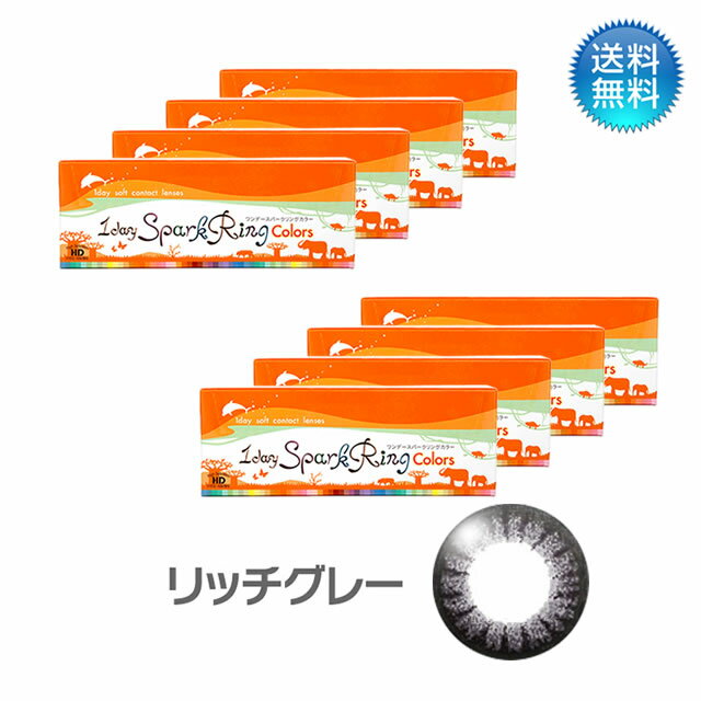 【あす楽対応商品】月間優良ショップ受賞【2024年5月度】ワンデースパークリングカラー　リッチグレー (30枚) 8箱セット 度あり 1day カラコン ワンデー 【LINE友だち追加300円OFFクーポン配布中】