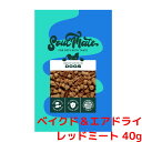 【最大300円クーポン】ソウルメイト ドッグフード ベイクド&エアドライフード レッドミート 40g【グッドスマイル】【SoulMate】
