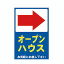 【板のみ・ビスナット付】矢印→ 