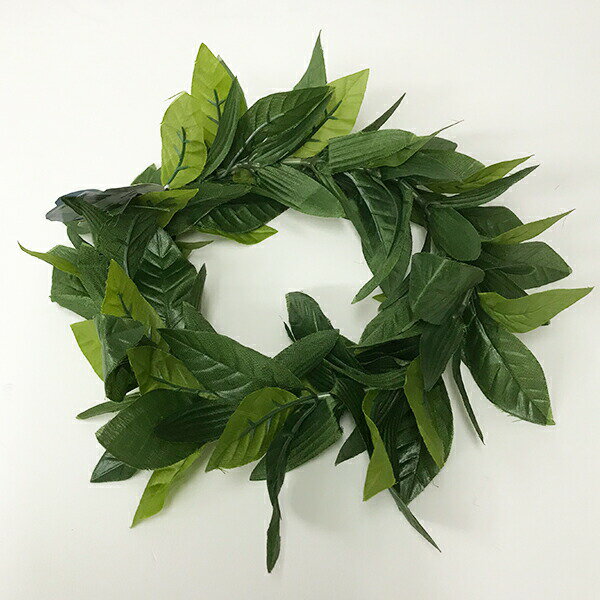 フラダンス マイレ キングマイレ ダブル ハク ヘッドバンド フラ衣装 髪飾り 頭用