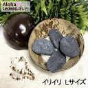 【楽天スーパーセール限定 10%OFF ポイント全品5倍】イリイリ Lサイズ フラ楽器 ハワイ ハワイアン 打楽器 石 小石 カスタネット ’ILI'ILI ...
