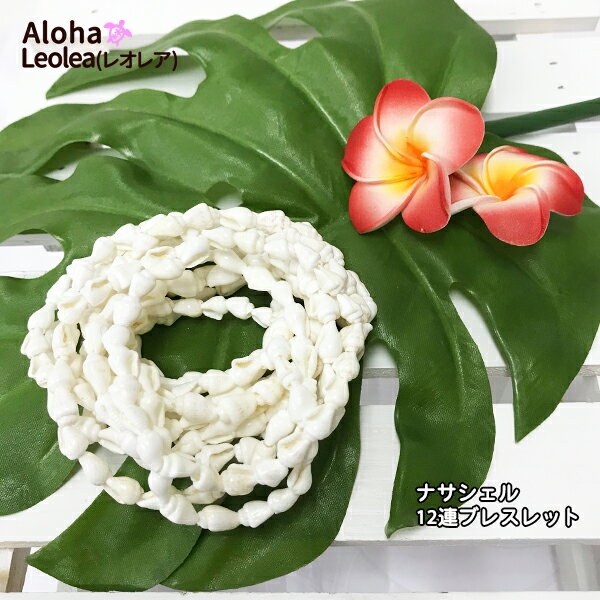 ブレスレット ナサシェル 巻貝 貝殻 貝がら シェル フラ フラアクセサリー フラ衣装 12連 豪華 ハワイ ハワイアン アクセサリー タヒチアン