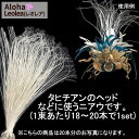 ニアウ タヒチアンダンス ハワイアン クラフト 髪飾り 装飾品 ココナッツ葉 ココナッツ ヘッドドレス ヘアアクセサリー フラダンス ヘッドドレス ハク