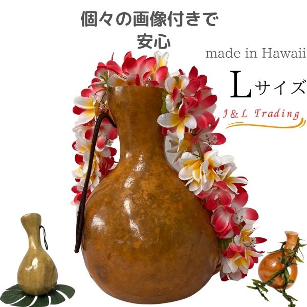 【楽天市場】楽器イプの通販 【楽天市場】楽器イプの通販