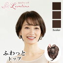 【返品・色交換OK】部分ウィッグ 頭頂部 ウィッグ 女性用 白髪 分け目 カバー ミニ バレない 白髪隠し 簡単 ヘアピース トップカバー 自然 ナチュラル ふんわり つむじ 白髪カバー ボリューム かつら 40代 50代 60代 レオンティーナ 3点留め LN115
