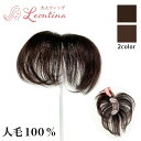 【返品・色交換OK】人毛100% 部分ウィッグ頭頂部 ウィッグ 女性用 ミニウィッグ バレない 白髪隠し 簡単 ヘアピース 自然 ナチュラル 簡単 つむじ 白髪...