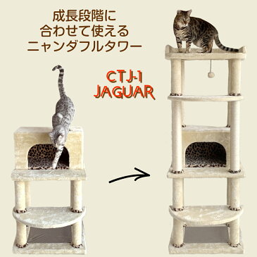 キャットタワー 据え置き シンプルなスリムデザインで 大型猫ちゃん多頭飼いに対応　JAGUAR CTJ-1【ねこのきもち】掲載商品
