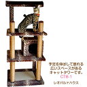 ＜数量限定＞キャットタワー 据え置き スリム 猫タワー 省スペース 多頭飼い 爪とぎ ヒョウ柄 置き型 CTB-1【猫びより】【ねこ】掲載商品